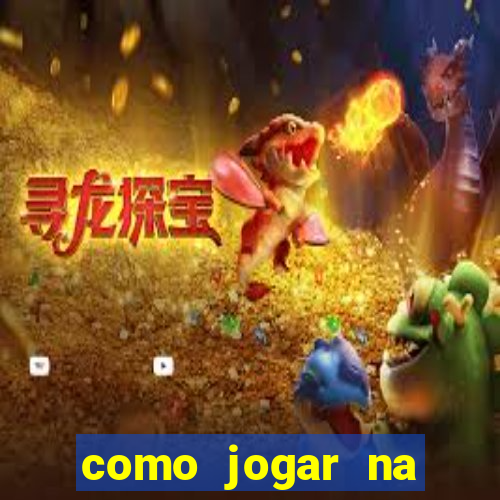 como jogar na seninha online